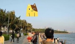 深圳湾网红最新爆料,揭秘网红打卡地背后的秘密与惊喜