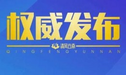 云南投资爆料最新消息新闻,聚焦重点领域，共谋发展新篇章