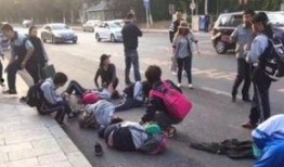 杞县学生车祸最新爆料,悲剧背后真相揭晓